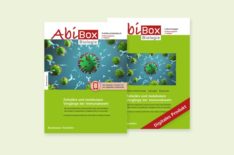 Zelluläre und molekulare Vorgänge der Immunabwehr