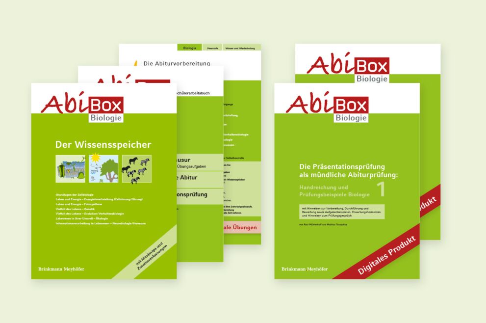 Die Abiturvorbereitung