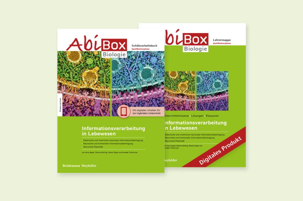 Informationsverarbeitung in Lebewesen