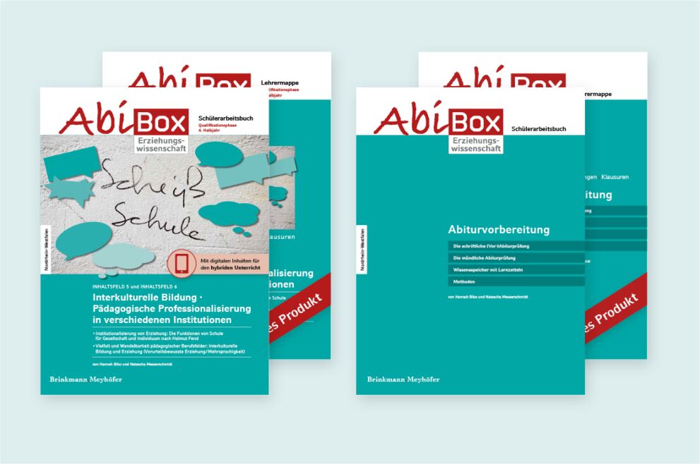 Interkulturelle Bildung/Pädagogische Professionalisierung in verschiedenen Institutionen/ Abiturvorbereitung